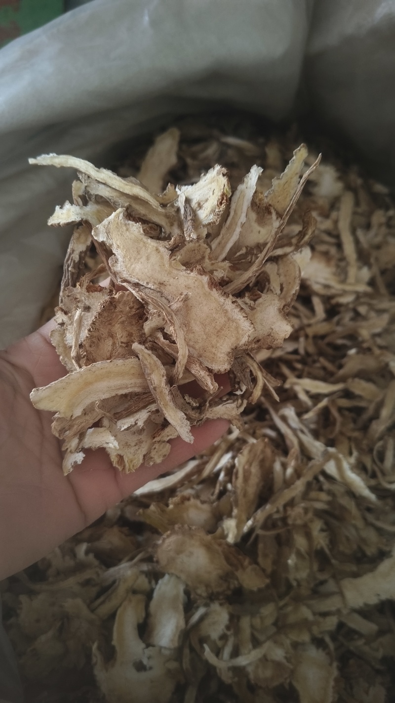 《云当归》产地直销货源充足量大从优