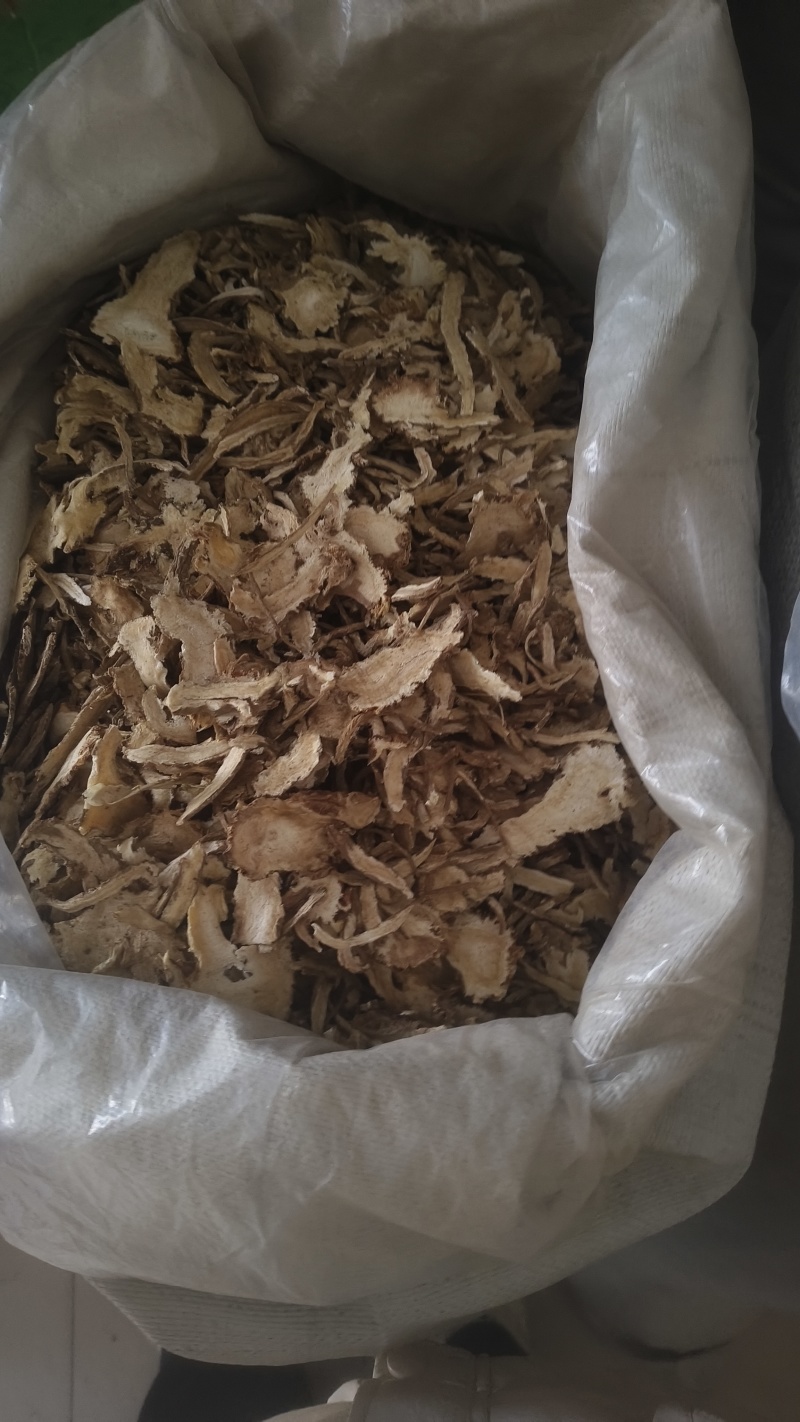 《云当归》产地直销货源充足量大从优
