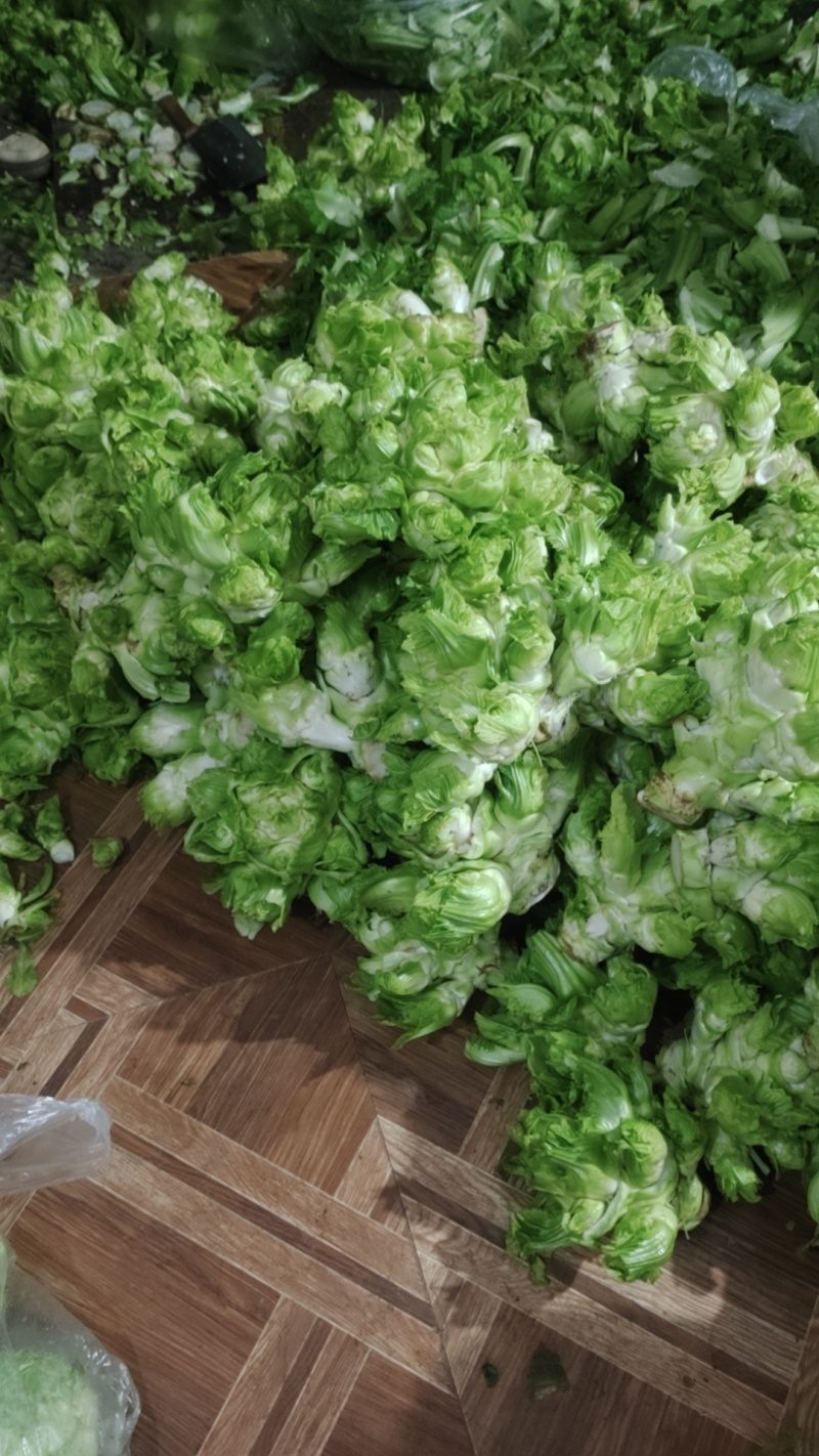 儿菜涨价了，3月有货对接全国