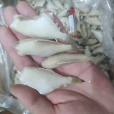 单冻剥皮鱼