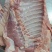毛排