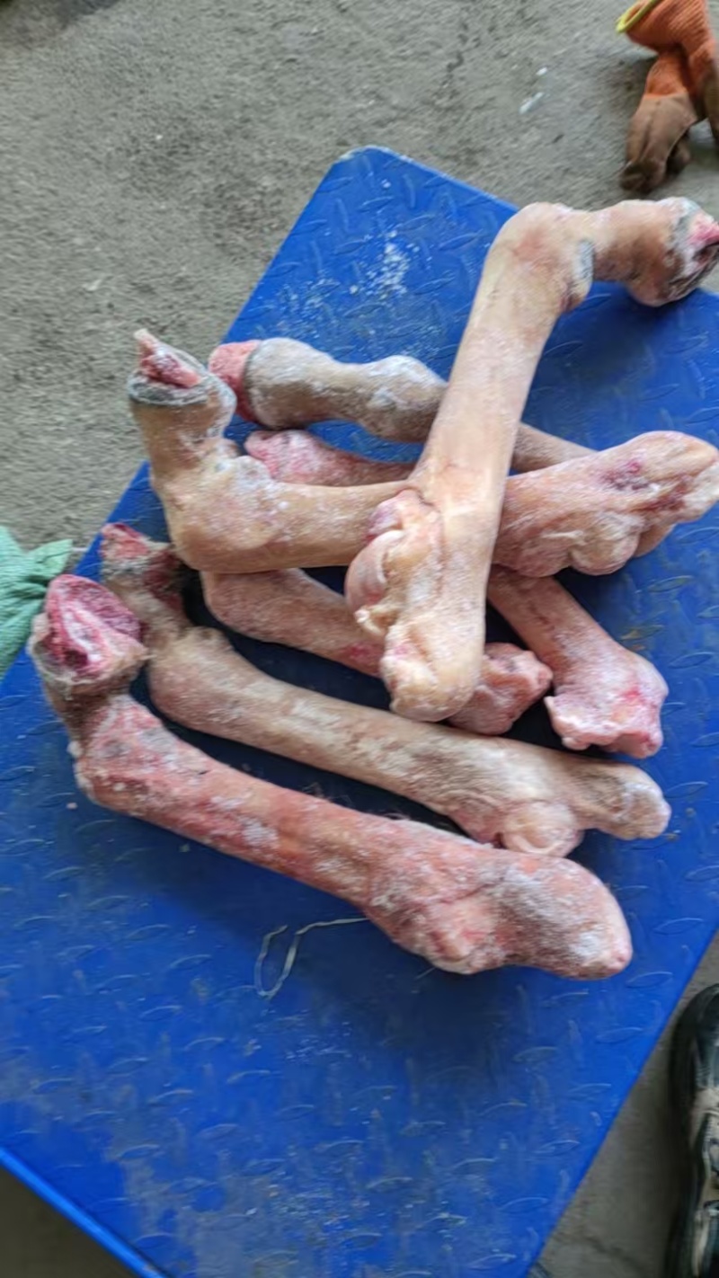 鲜排