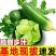 山东潍坊水果萝卜