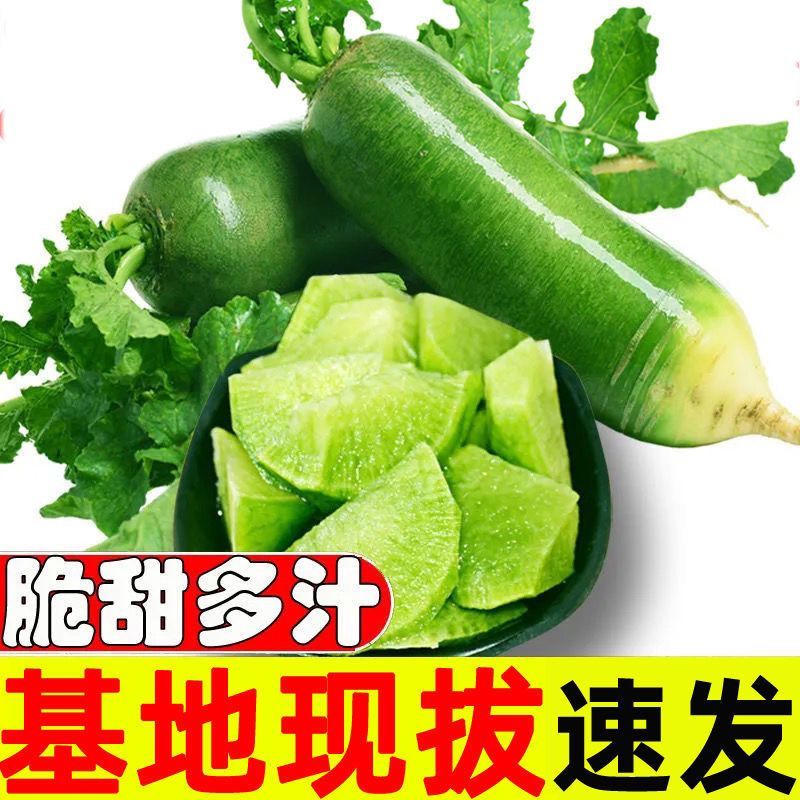 山东潍坊水果萝卜