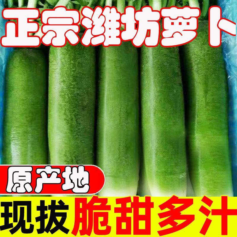 山东潍坊水果萝卜