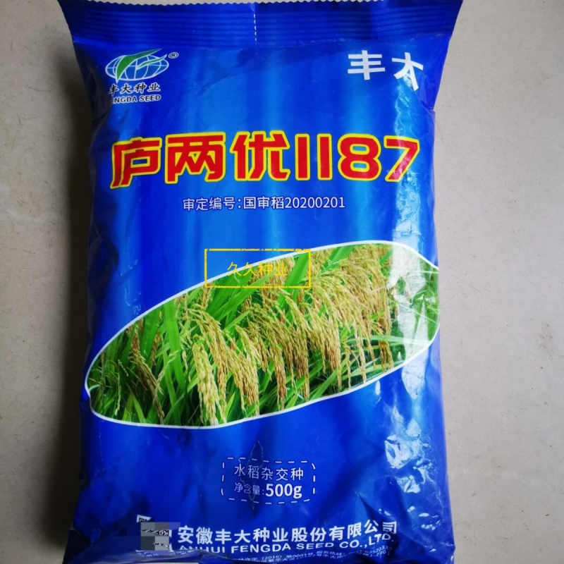 庐两优1187杂交水稻种子中粒香米杂交稻谷种子抗病高