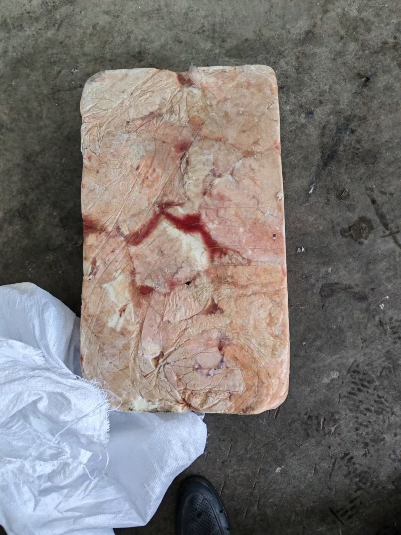 山东菏泽牡丹区生牛奶渣牛副产品大量供应欢迎下单