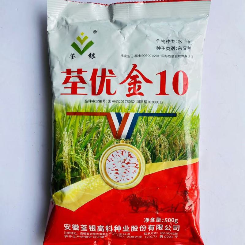 荃优金10杂交水稻种子高产抗病抗倒伏春季播种籼稻形