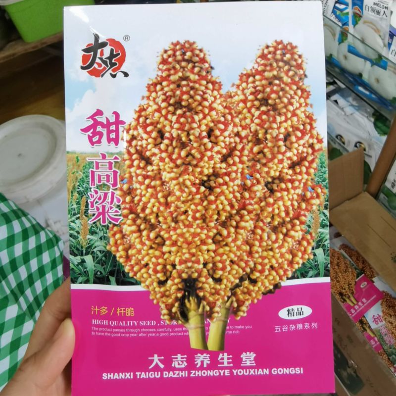 甜高梁种子甜杆种子春夏秋种植北方绿皮甘蔗汁多脆甜