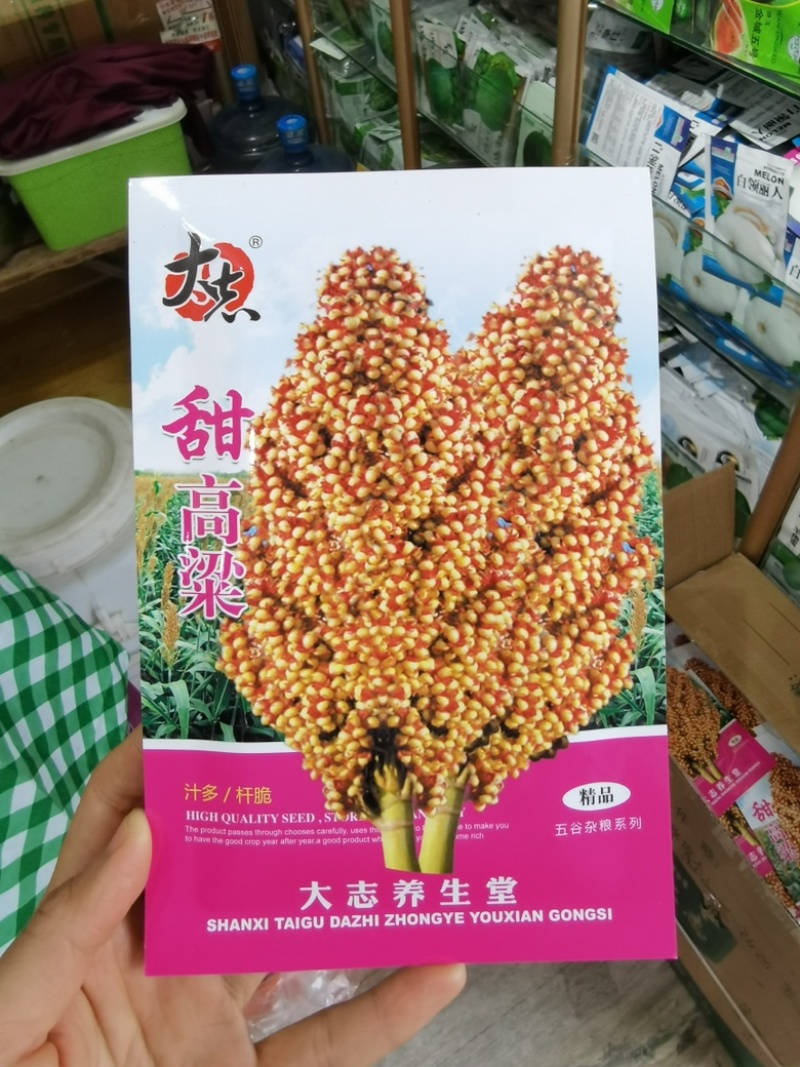 甜高梁种子甜杆种子春夏秋种植北方绿皮甘蔗汁多脆甜