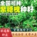紫穗槐种子护坡灌木种子防沙固土护坡植物耐寒耐旱绿化草籽