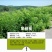 紫穗槐种子护坡灌木种子防沙固土护坡植物耐寒耐旱绿化草籽