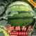 【推荐】无籽美都云南麒麟西瓜/大量供应/产地一手货源