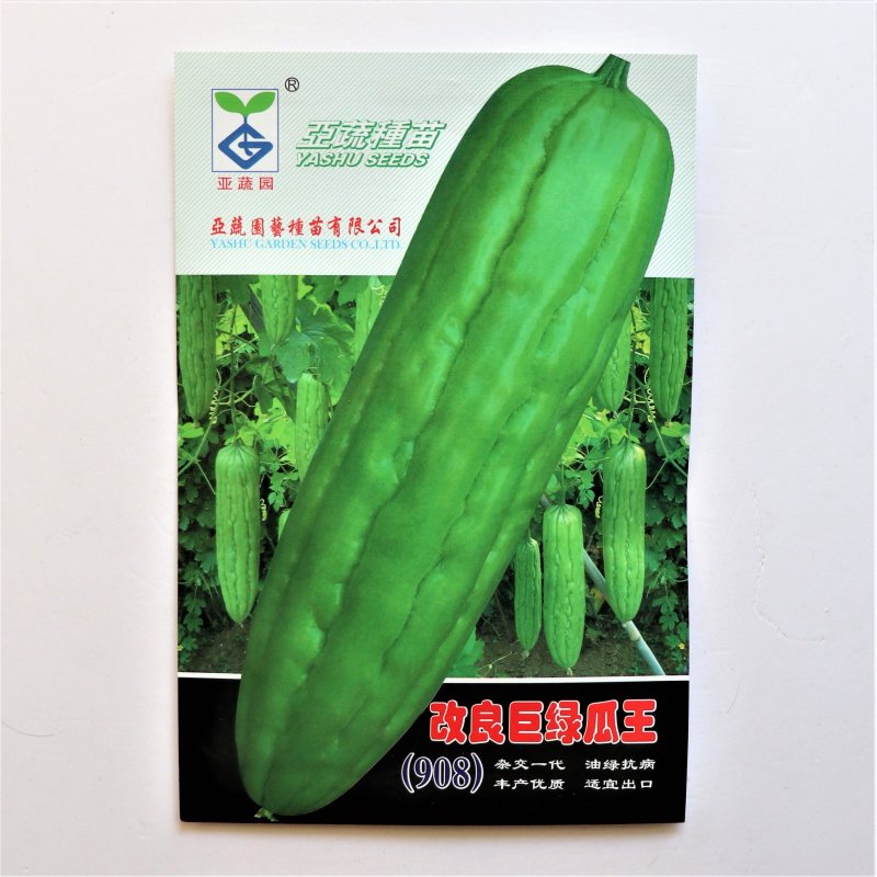 改良巨绿瓜王(908)苦瓜种子中熟耐热耐湿高产油亮绿苦瓜