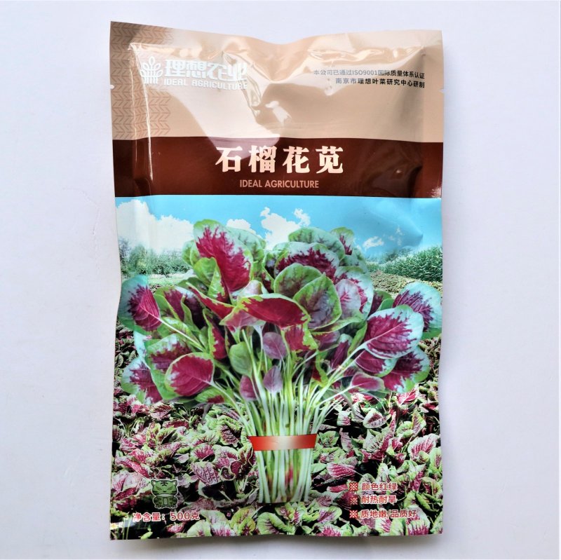 石榴花苋早熟红苋菜种子耐热耐旱生长速度快白梗质嫩苋菜