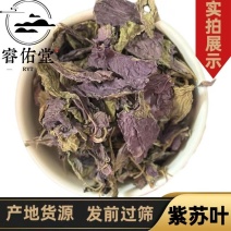 紫苏叶苏叶干货紫苏叶无杂质实拍过筛货