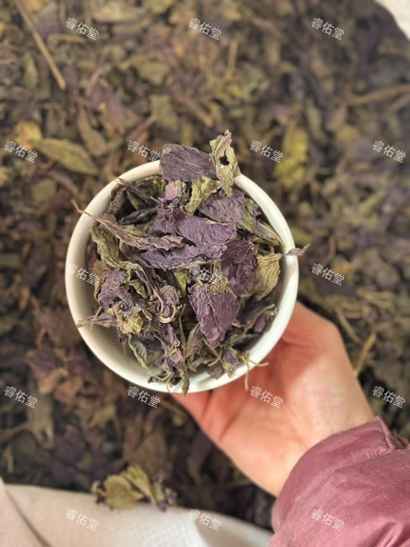 紫苏叶苏叶干货紫苏叶无杂质实拍过筛货