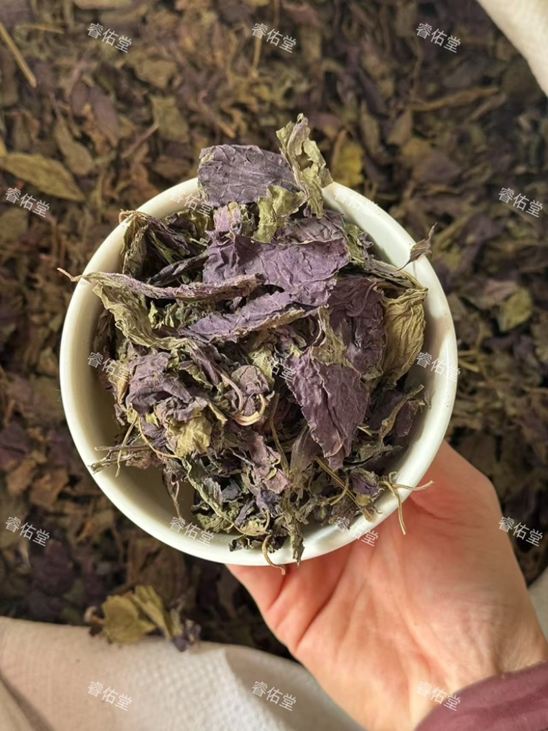 紫苏叶苏叶干货紫苏叶无杂质实拍过筛货