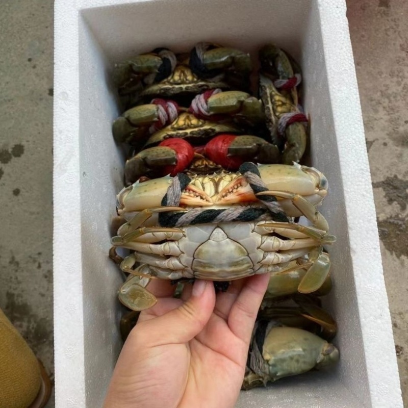 青蟹