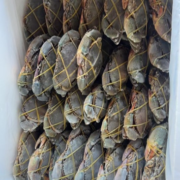 青蟹