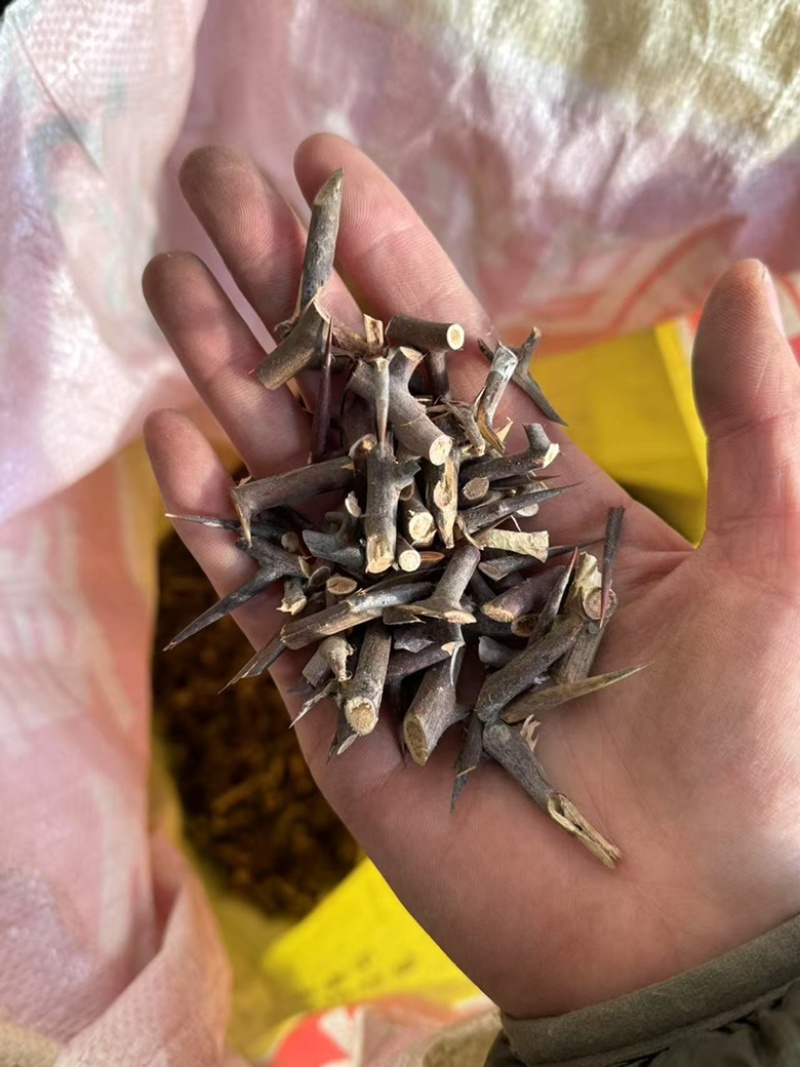 皂角刺皂刺天丁实拍图现货睿佑堂批发供应