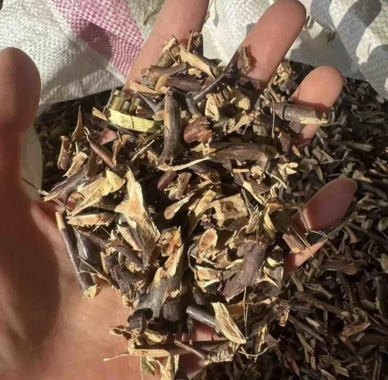 皂角刺皂刺天丁实拍图现货睿佑堂批发供应