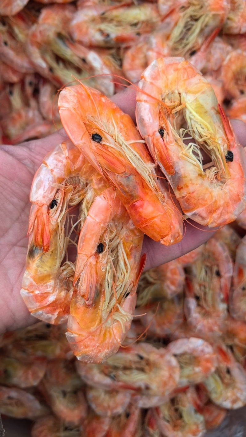 盐田烤虾，实物要好看，可上门看货，视频看货