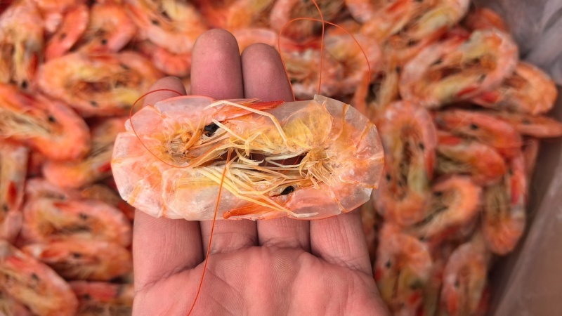 盐田烤虾，实物要好看，可上门看货，视频看货