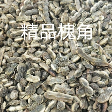 槐角大货已过筛Vfkl五二六九