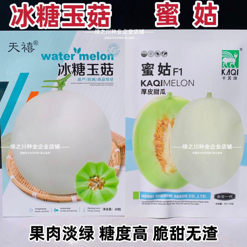 冰糖玉菇甜瓜种子超甜蜜姑甜瓜种籽高圆型特甜玉姑甜瓜种子