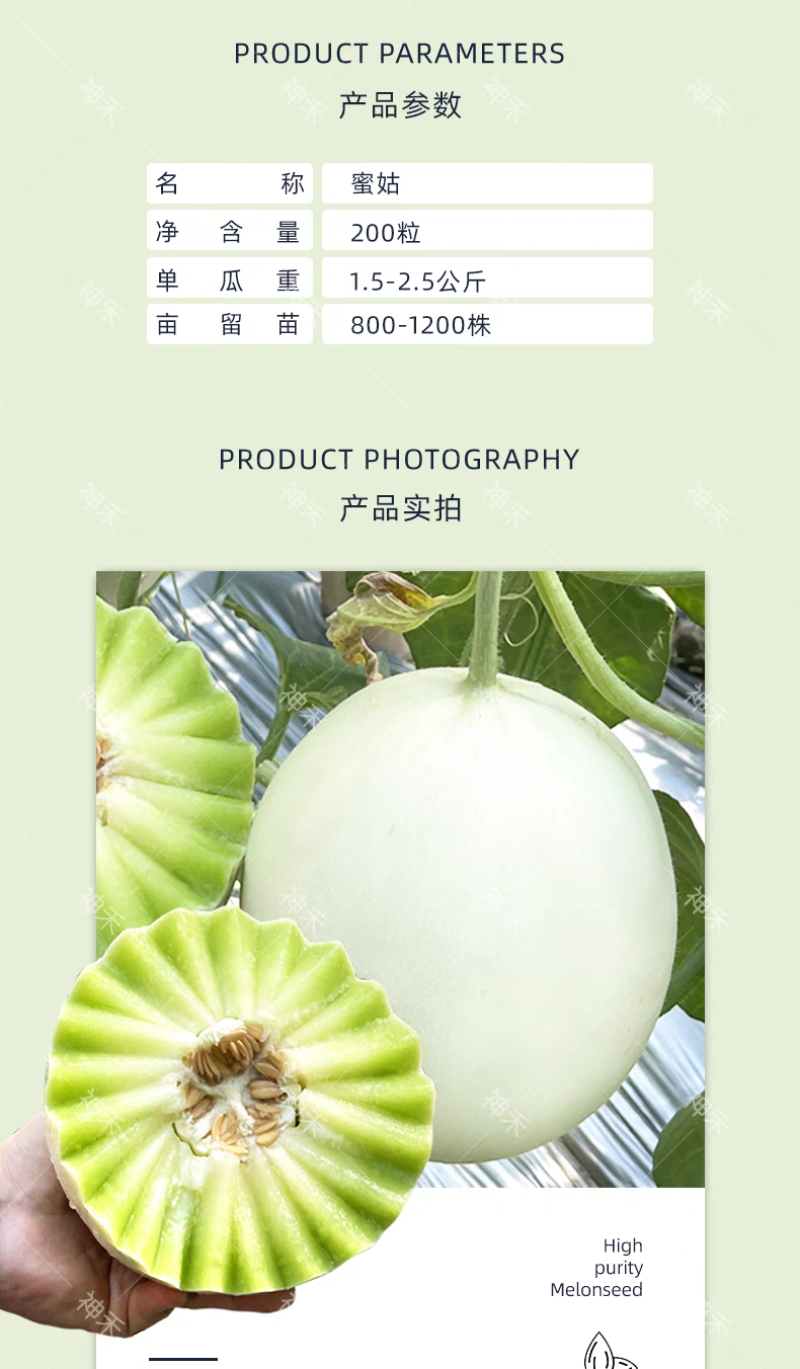 冰糖玉菇甜瓜种子超甜蜜姑甜瓜种籽高圆型特甜玉姑甜瓜种子