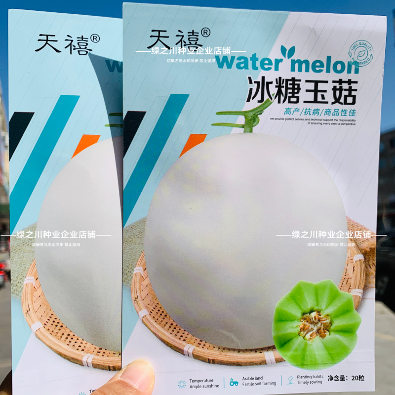 冰糖玉菇甜瓜种子超甜蜜姑甜瓜种籽高圆型特甜玉姑甜瓜种子