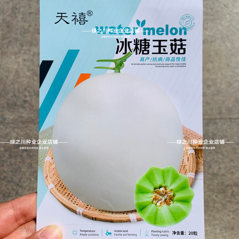 冰糖玉菇甜瓜种子超甜蜜姑甜瓜种籽高圆型特甜玉姑甜瓜种子
