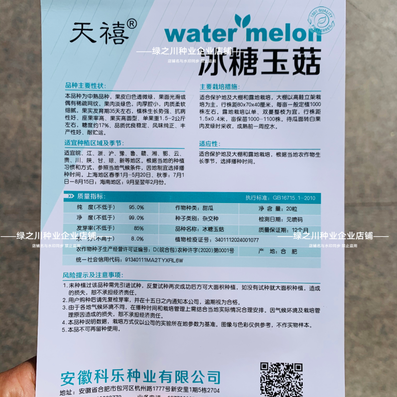 冰糖玉菇甜瓜种子超甜蜜姑甜瓜种籽高圆型特甜玉姑甜瓜种子