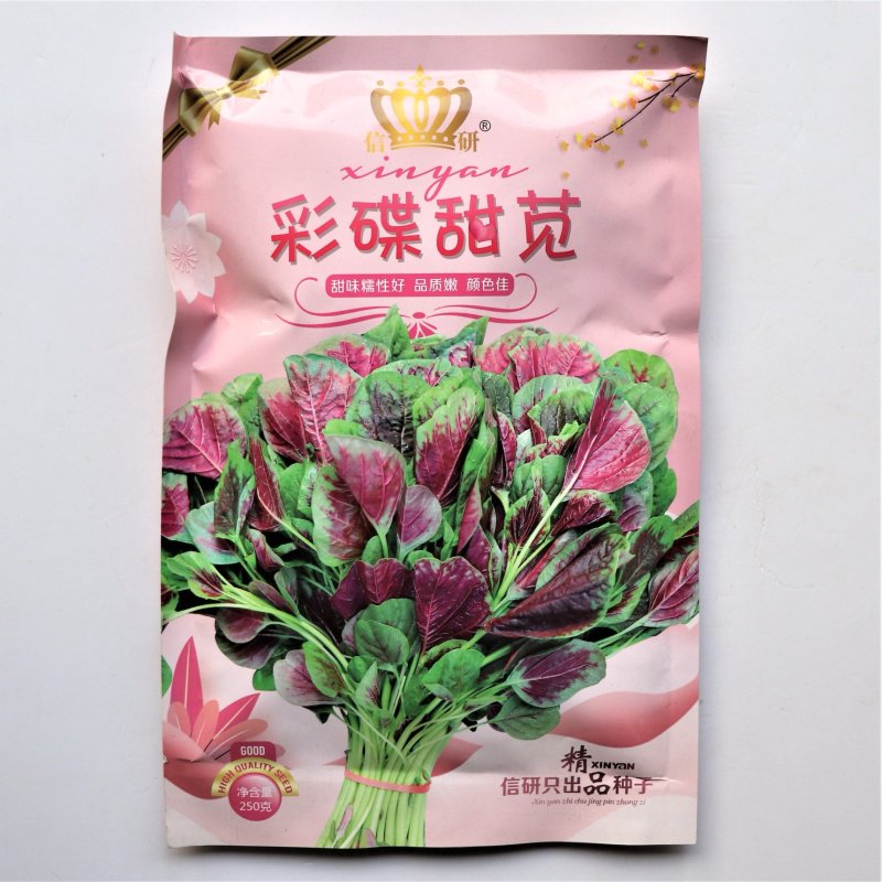 信研彩碟甜苋花红苋菜种子优质早熟高产耐热抗病春夏播