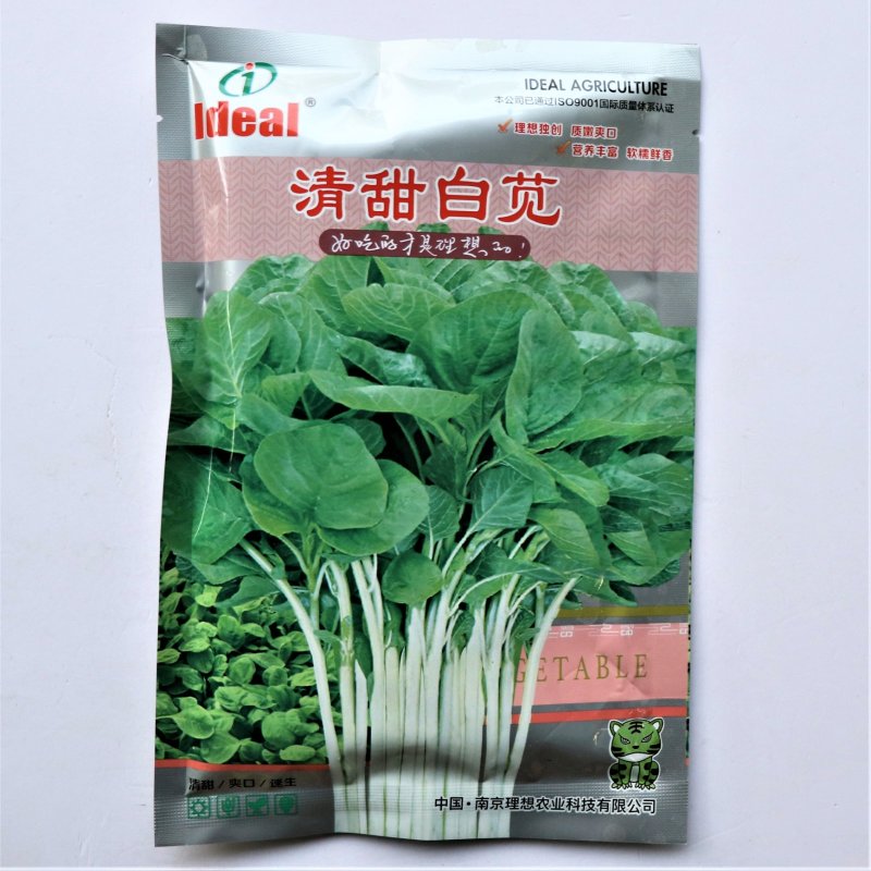 清甜白苋苋菜种子耐热耐湿白圆叶苋菜种子早熟大圆叶汉菜