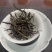 云南古树普洱茶500克