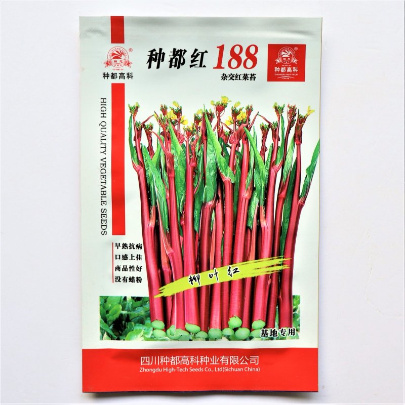 种都红188杂交红菜苔种子早熟高产抗病抗寒无蜡
