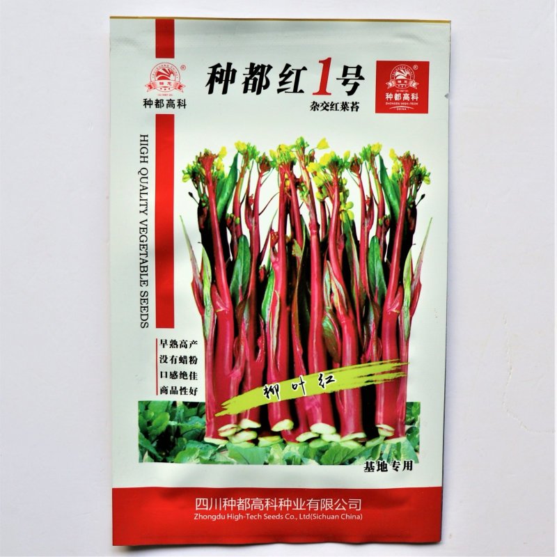 种都红1号红菜苔种子优质早熟高产耐寒农家秋季播种