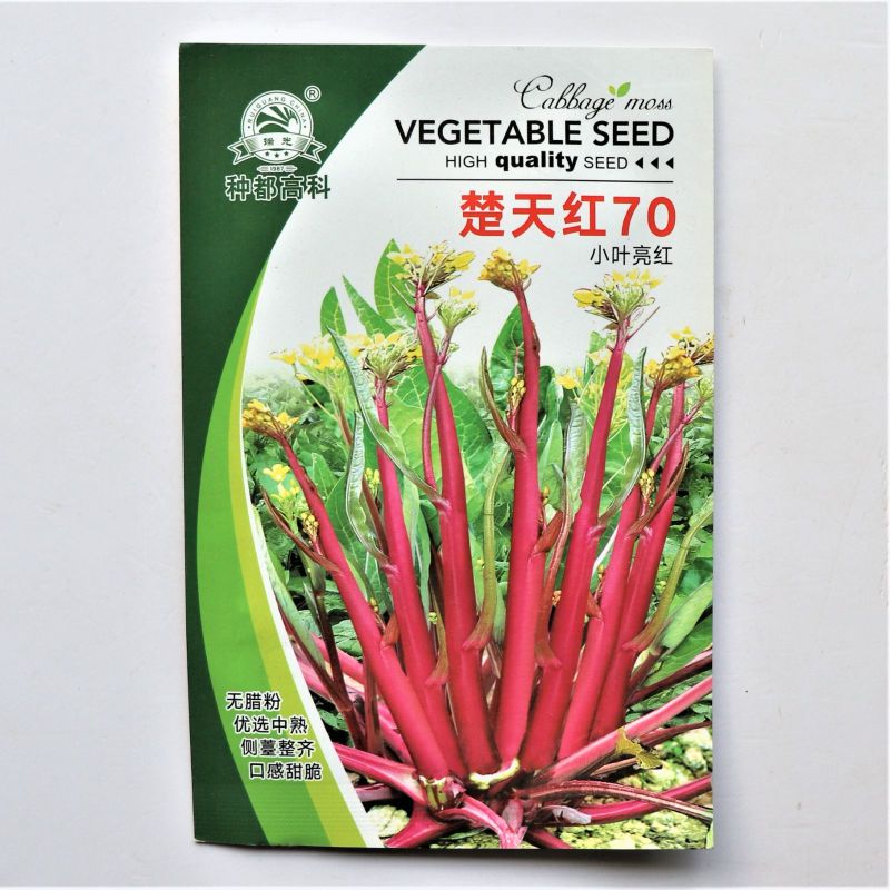 楚红苔70红菜苔种子中熟丰产早抽苔不早衰无蜡粉抗逆性强