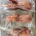 扒皮鹧鸪去皮飞龙替代品烧烤新品酒店必备鸽子替代品