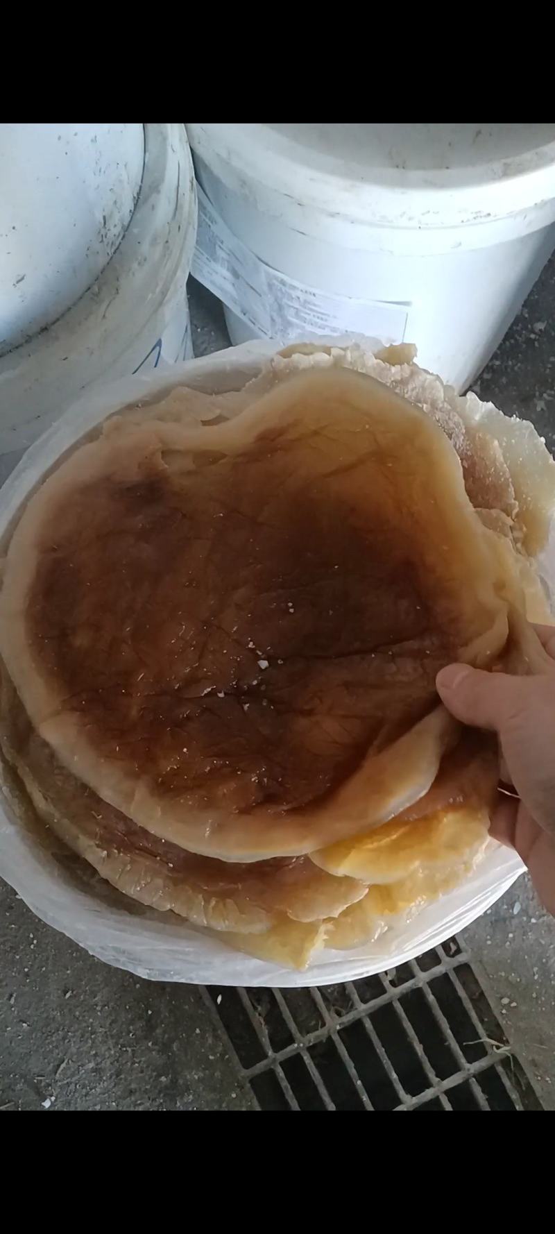 特大红皮到货（特别干、硬度好）常年有货、量大从优