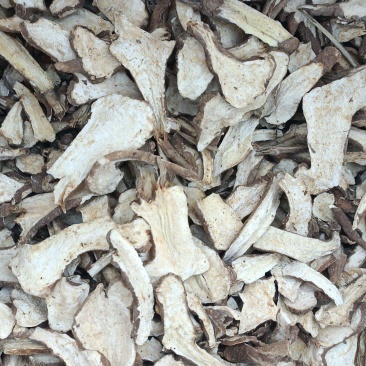 白术白术生切片白术片常年供应无杂质量大从优