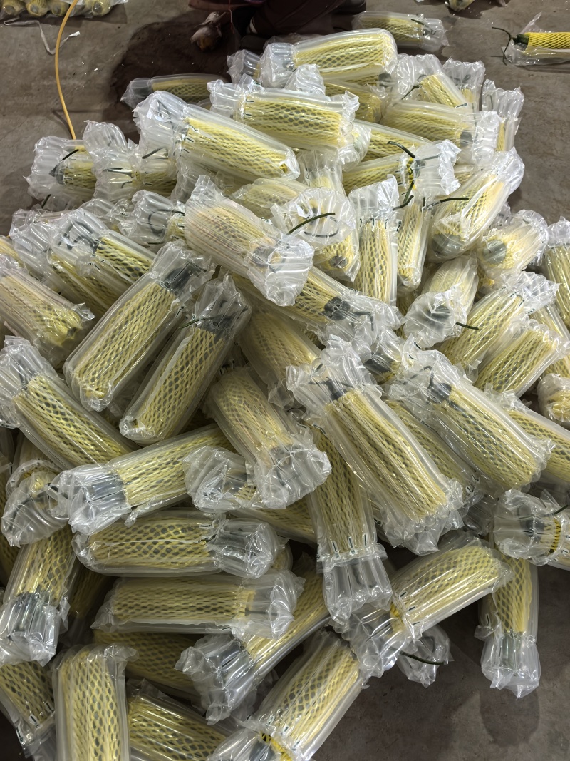 山东寿光产，羊角甜瓜，七二甜瓜，密园十八，博羊九甜瓜等