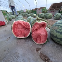无籽麒麟美都西瓜大量上市欢迎各大商超市场选购