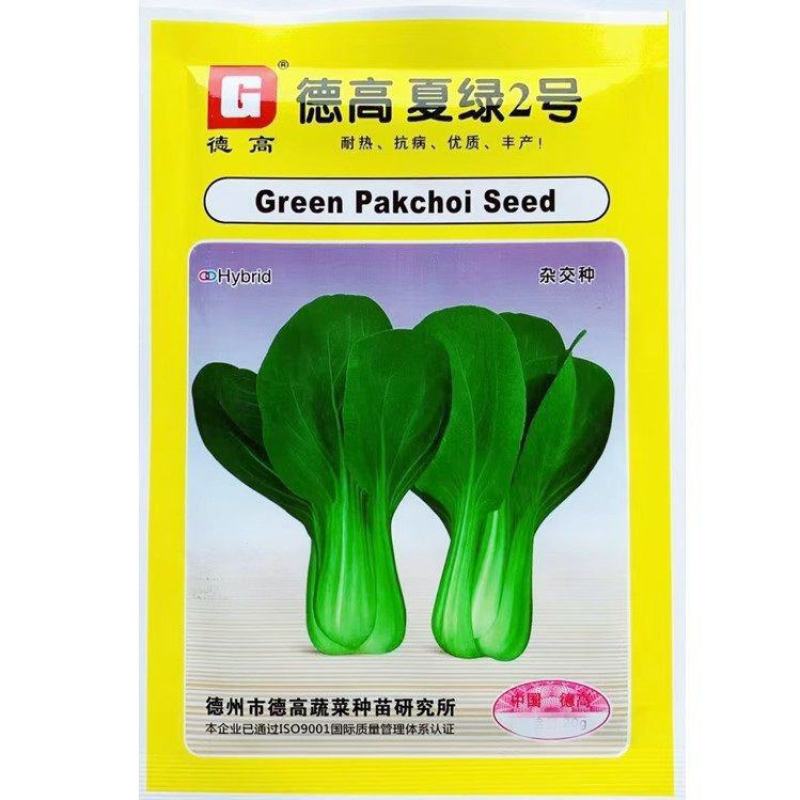 德高夏绿2号青梗菜种子耐热耐湿青梗菜种子耐高温不易拔节易