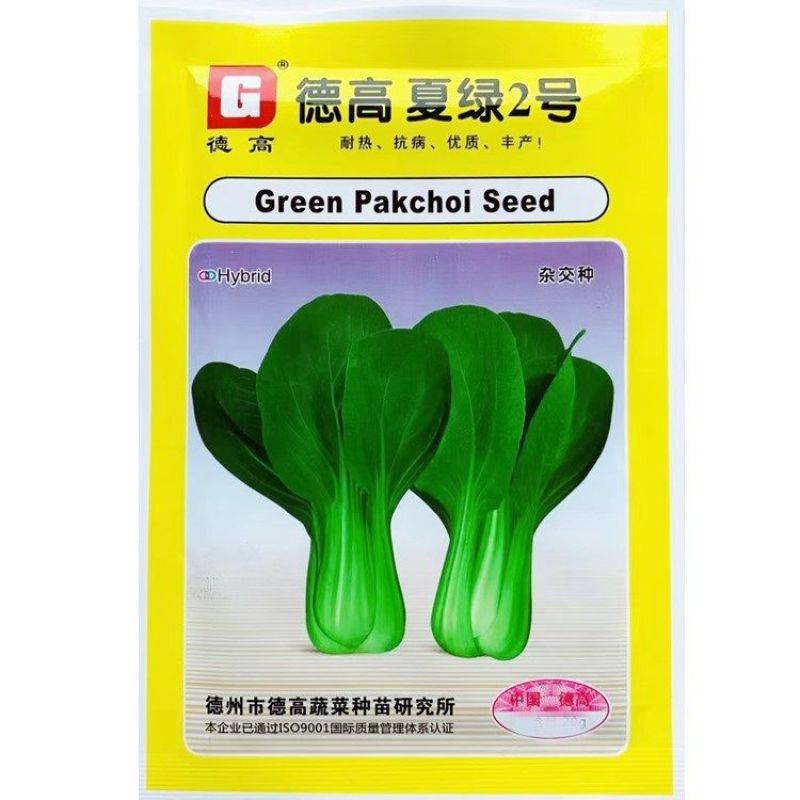 德高夏绿2号青梗菜种子耐热耐湿青梗菜种子耐高温不易拔节易