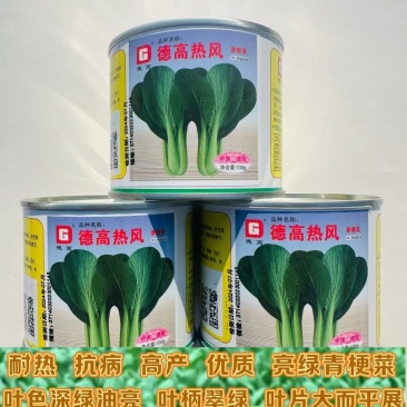 德高热风青梗菜种子耐热绿油亮青菜种籽蔬菜种子翠绿四季播青