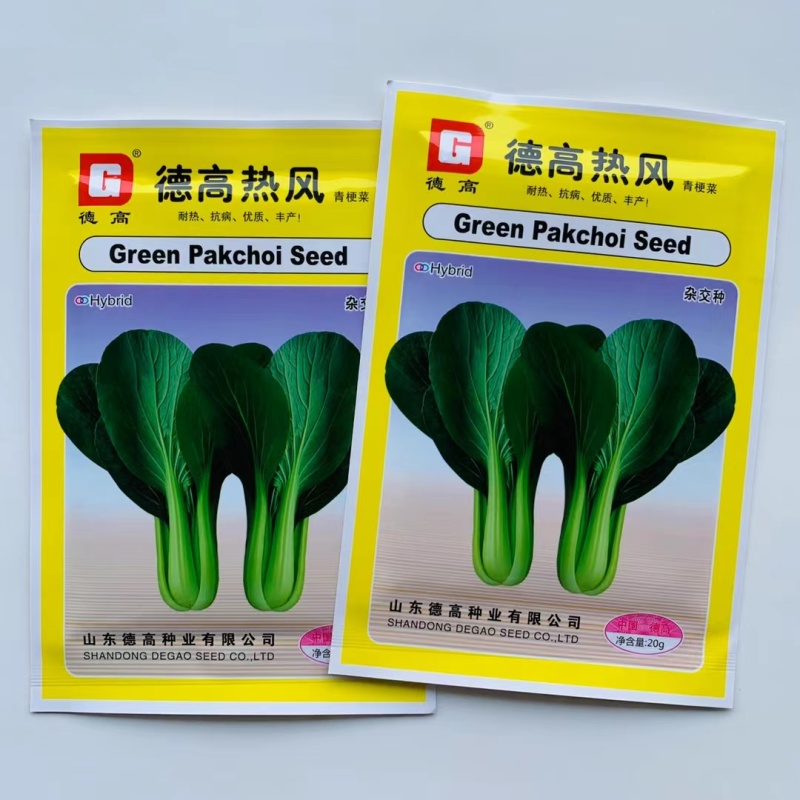 德高热风青梗菜种子耐热绿油亮青菜种籽蔬菜种子翠绿四季播青
