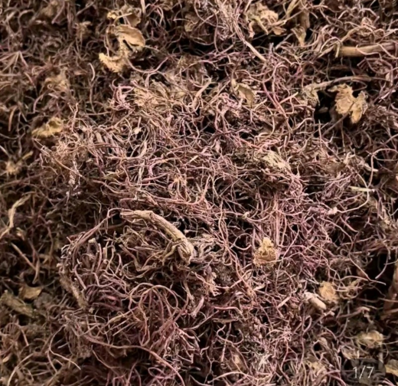 中药材紫苑，地产货，大量供应中，干货，货源非常干净。